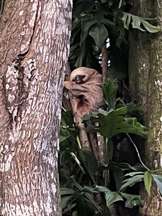 Gartenanlage Casa Caribe Sur - Karibik & Style