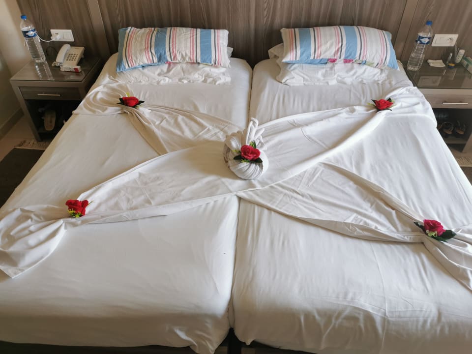 Zimmer Iberostar Waves Mehari Djerba