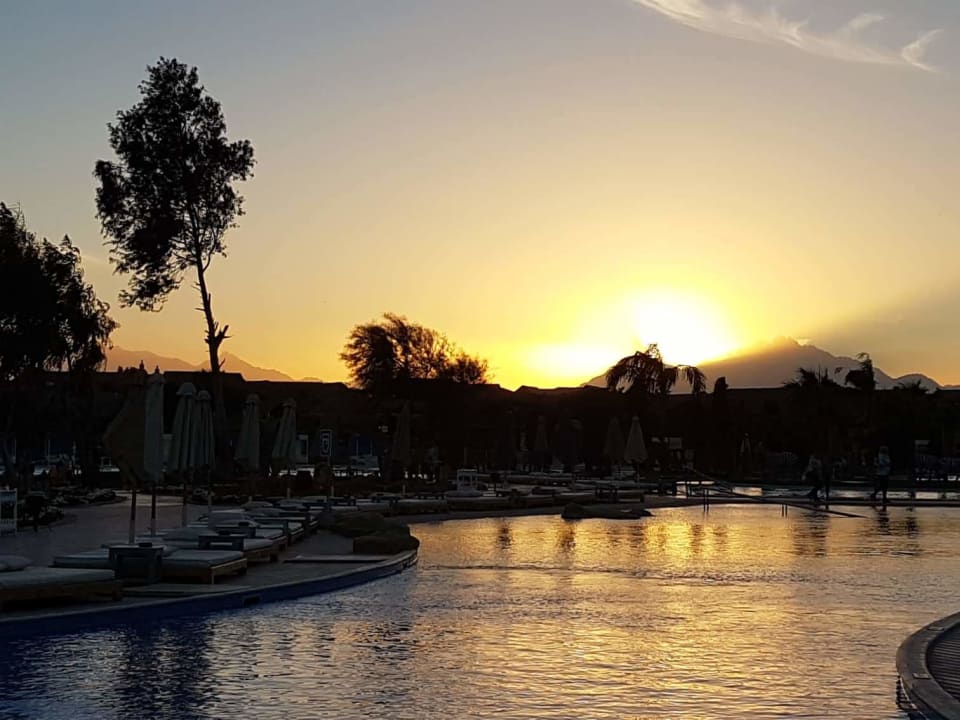 Pool Pickalbatros Jungle Aqua Park Resort - Neverland Hurghada