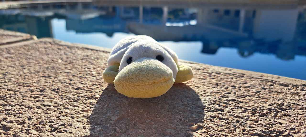 Pool Lemon & Soul Makadi Garden