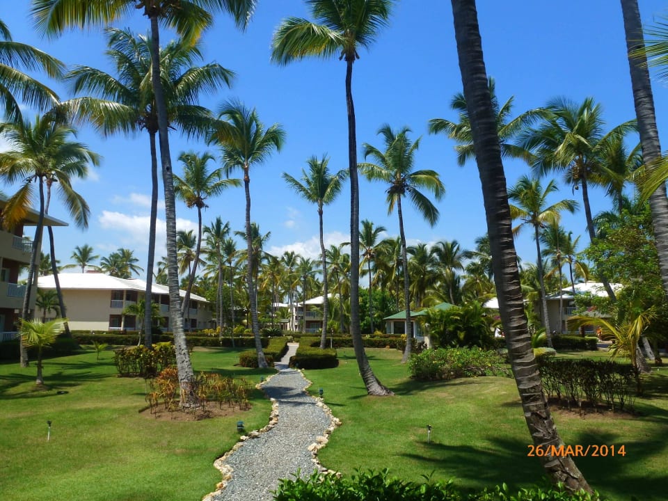 Kawałek hotelowego ogrodu Grand Sirenis Punta Cana Resort & Aquagames