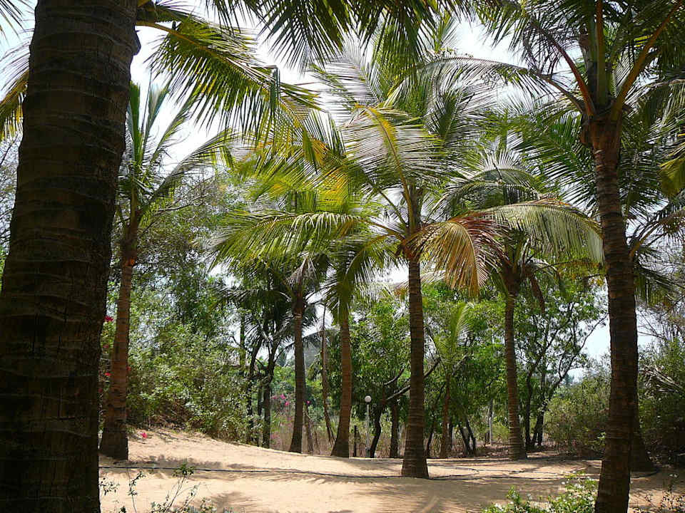 Weg zum Strand Vila Goesa Beach Resort