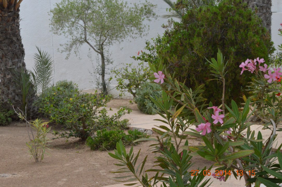 Weg zum Strand Hotel El Mouradi Djerba Menzel