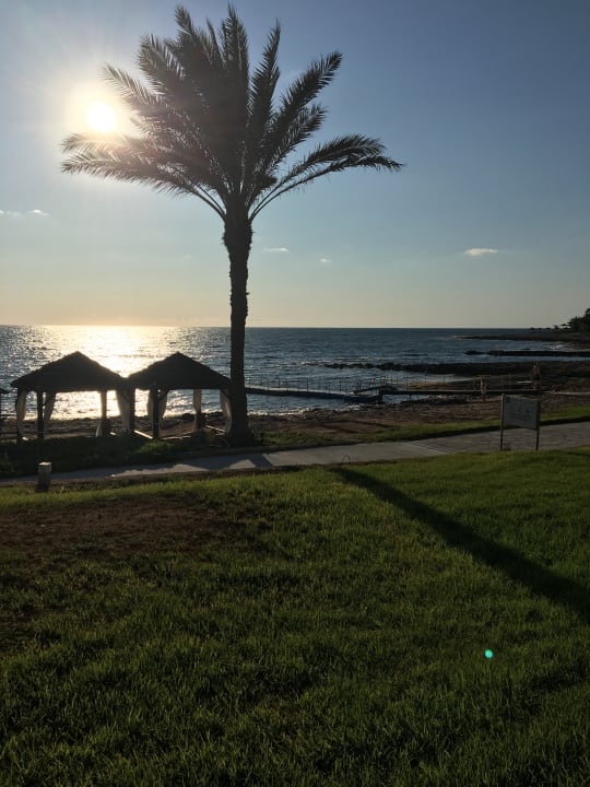 Außenansicht Constantinou Bros Athena Beach Hotel