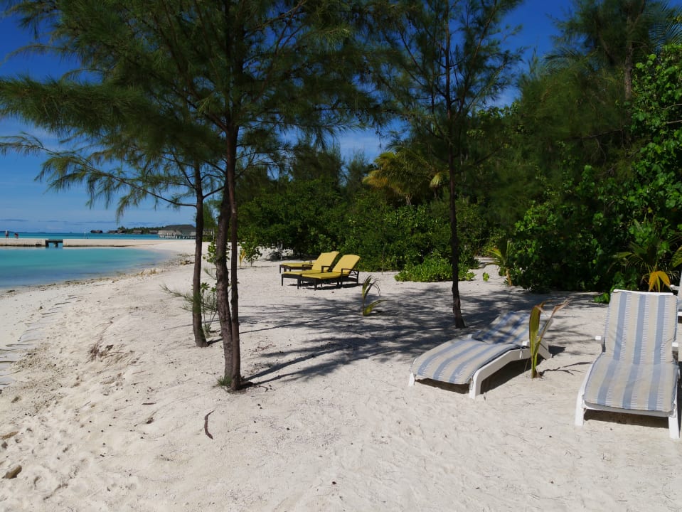 Strand Summer Island Maldives