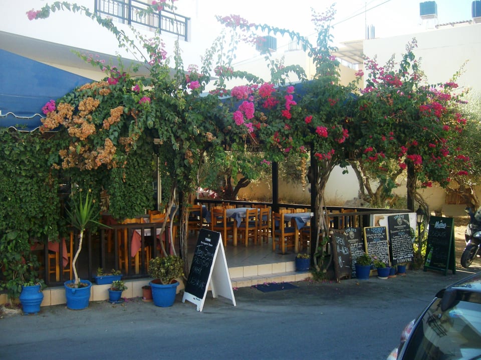 Gartenanlage Hotel Anthoula Village