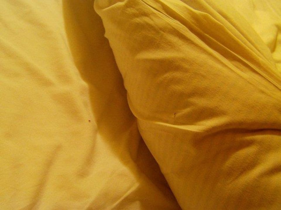 Hotel Majestic Hotel Xenia