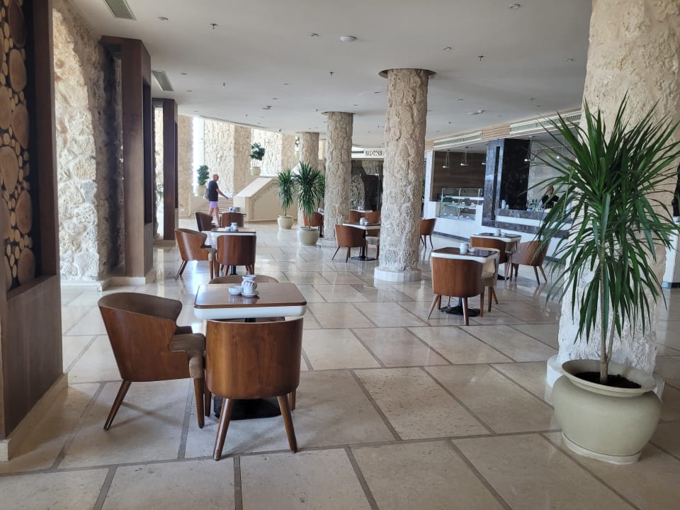 Gastro Pickalbatros Citadel Resort