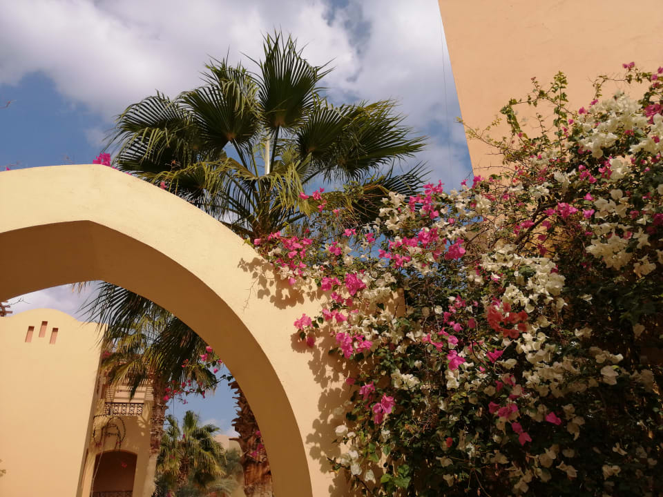 Gartenanlage Steigenberger Coraya Beach - Adults only