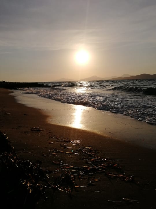 Strand Blue Nest Kos