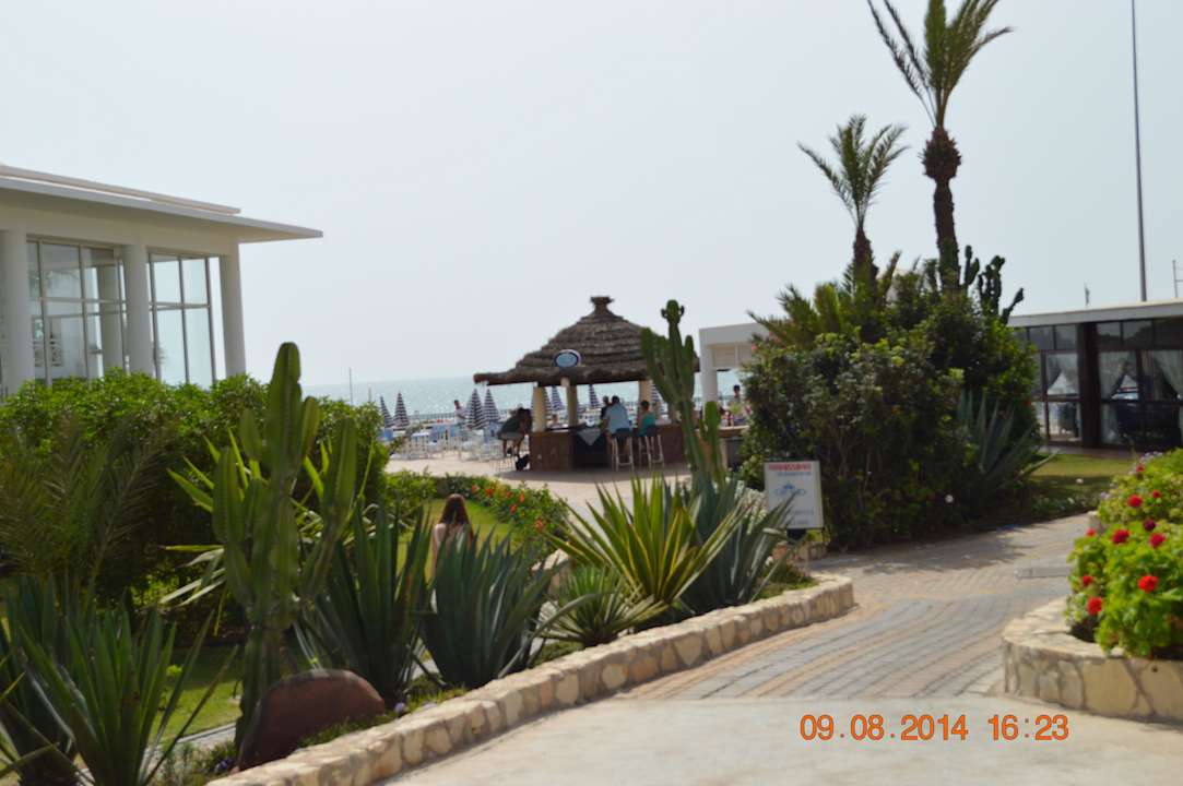 Bar Dunes D'or Ocean Club