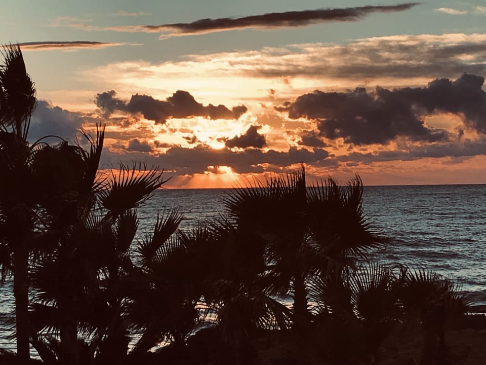 Ausblick Constantinou Bros Athena Royal Beach Hotel