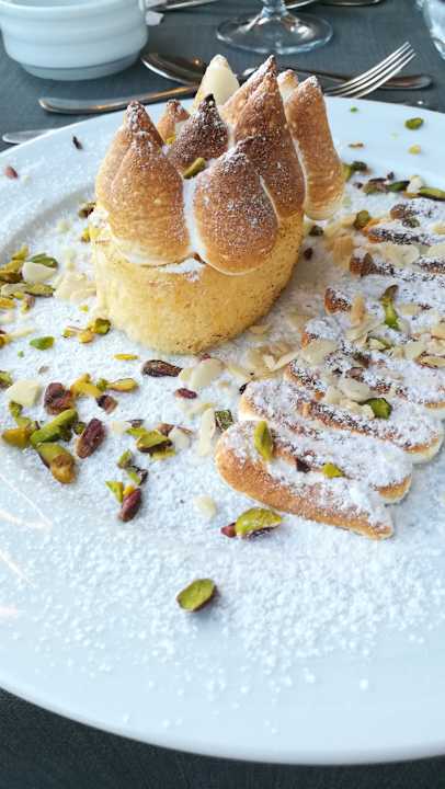 Gastro Acanthus Cennet Barut Collection