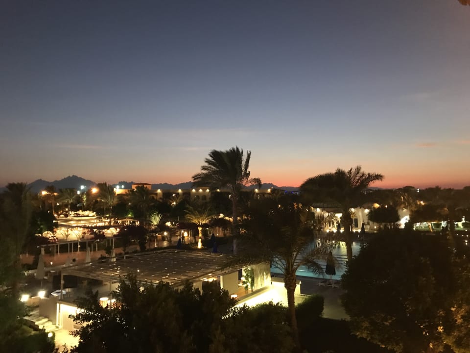 Ausblick Desert Rose