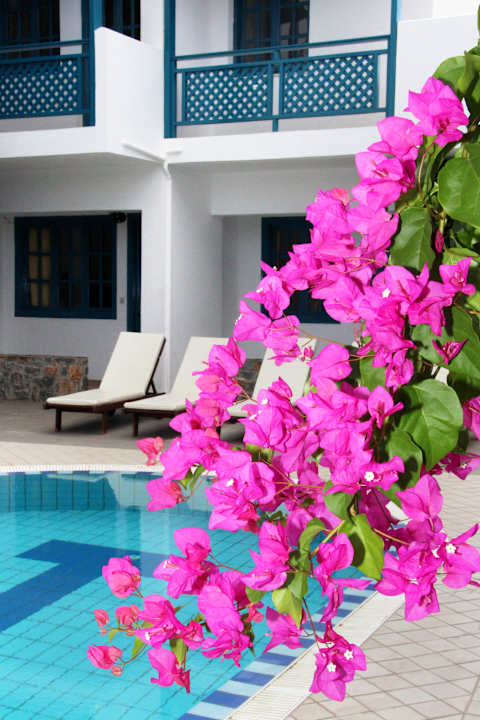 Pool MIKA Villas Apartments& Studios