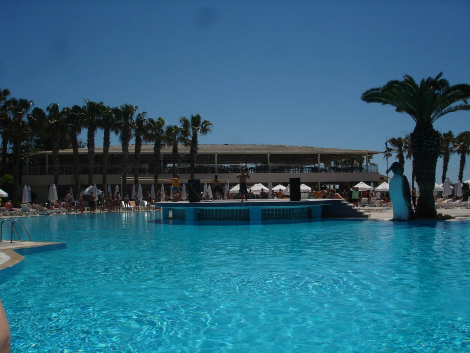 Главный бассейн Hotel Botanik Platinum