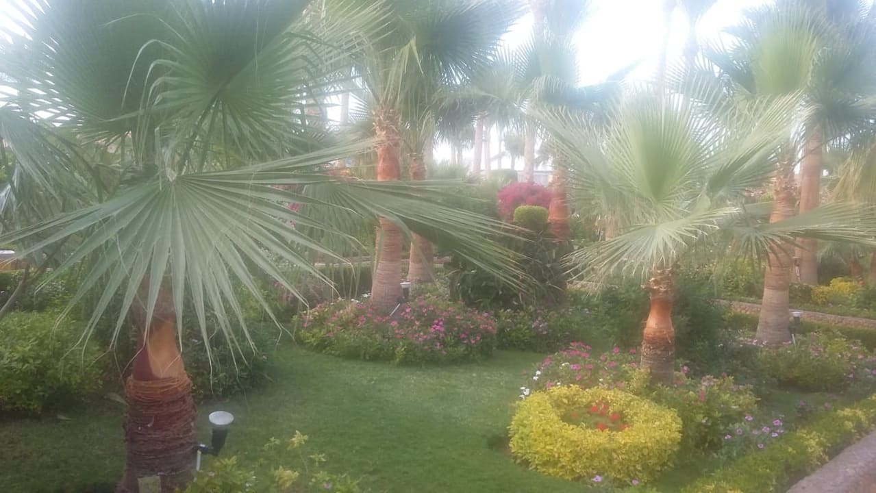 Gartenanlage Riviera Aqua Park Resort