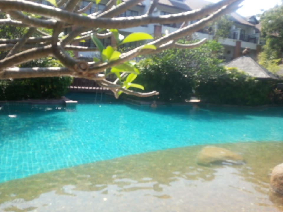 Immer sauber Woodlands Hotel & Resort