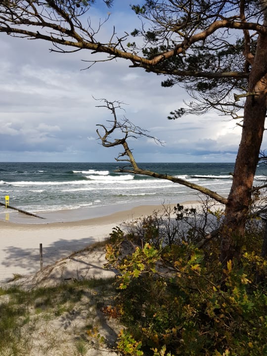 Strand Ferienanlage Vierjahreszeiten