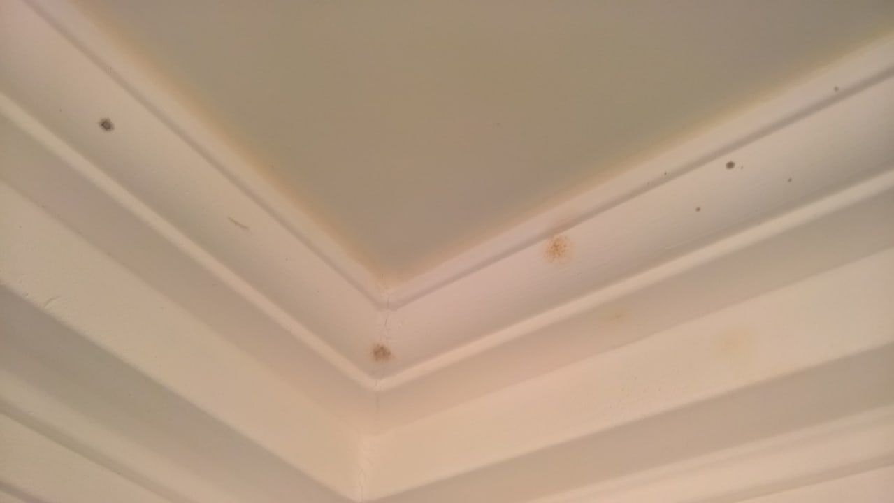 Zimmer Breidenbacher Hof