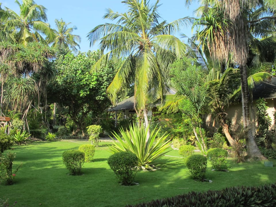 Was für ein grün!  Adaaran Select Meedhupparu Island Resort - Premium All Inclusive