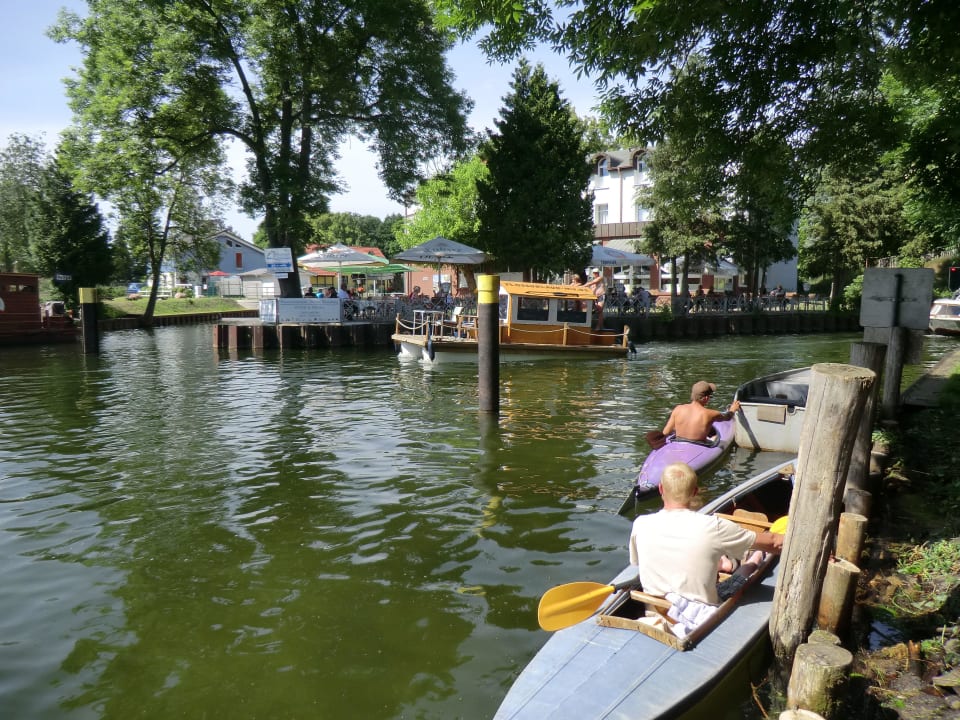Blick auf den Biergarten Hotel zum Löwen