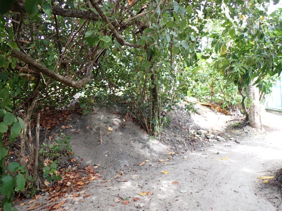 Gartenanlage Angaga Island Resort