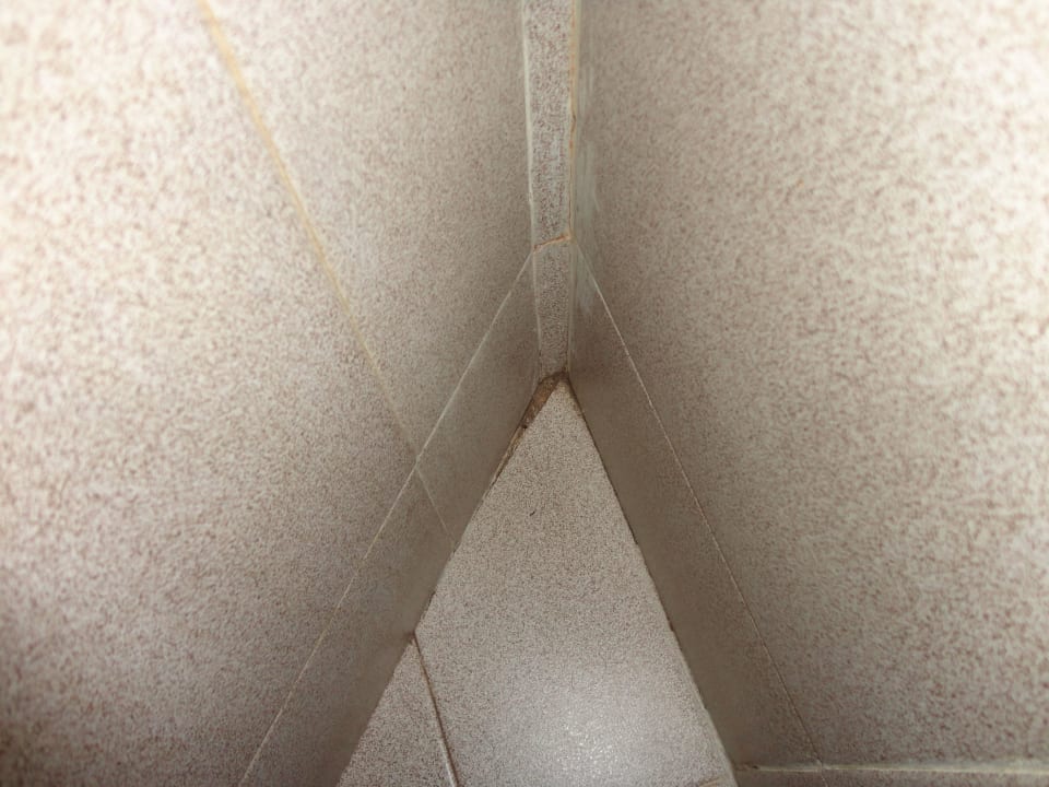 Bad Schimmel Melia La Palma Hotel