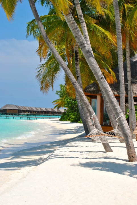 Hängematte Veligandu Maldives Resort Island