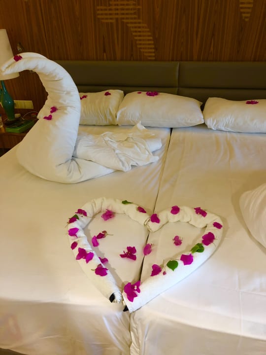 Zimmer PALOMA Perissia