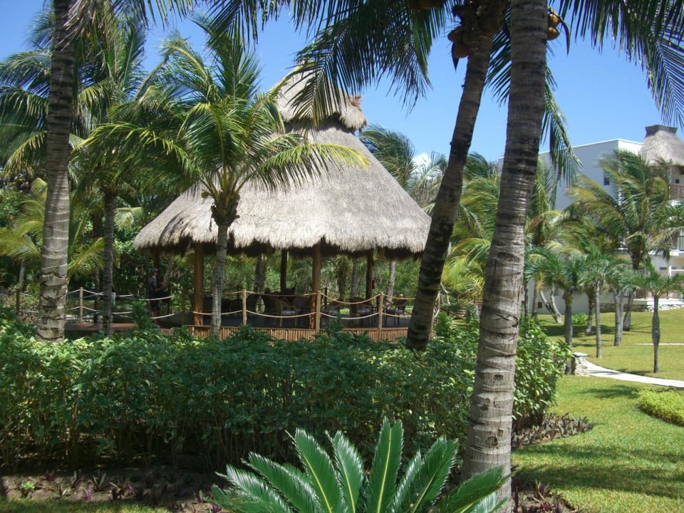 Gartenbereich Akumal Bay Beach & Wellness Resort