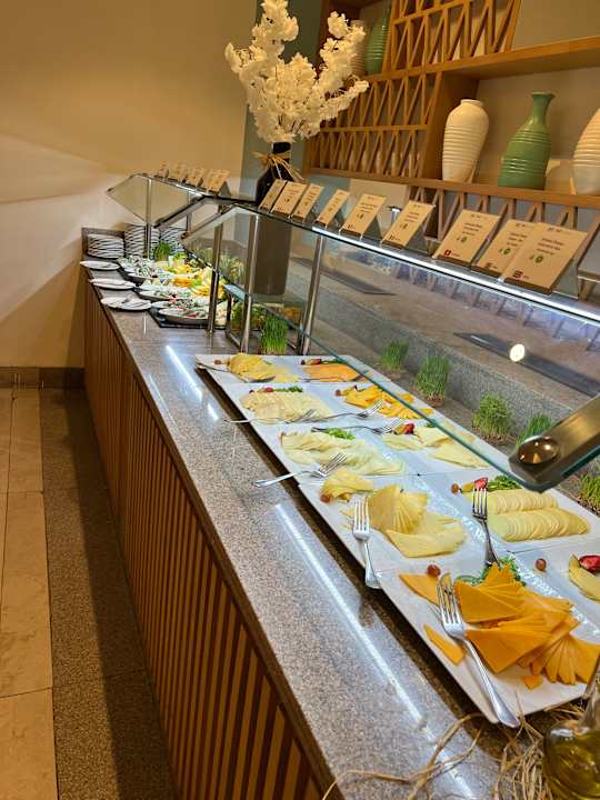 Gastro JAZ Elite Asteria