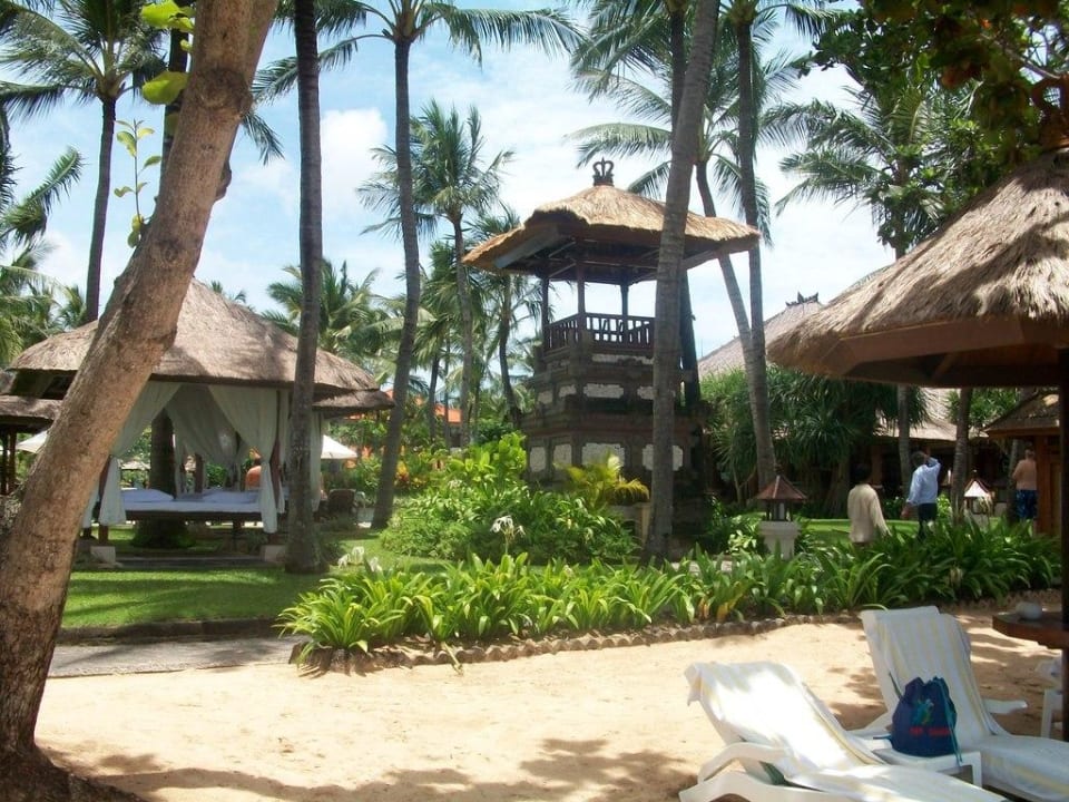 Blick vom Strand The Laguna A Luxury Collection Resort & Spa