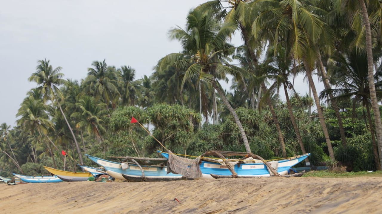 Przed hotelem Mermaid Hotel & Club