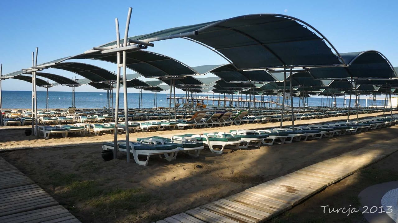 Poranek Papillon Ayscha