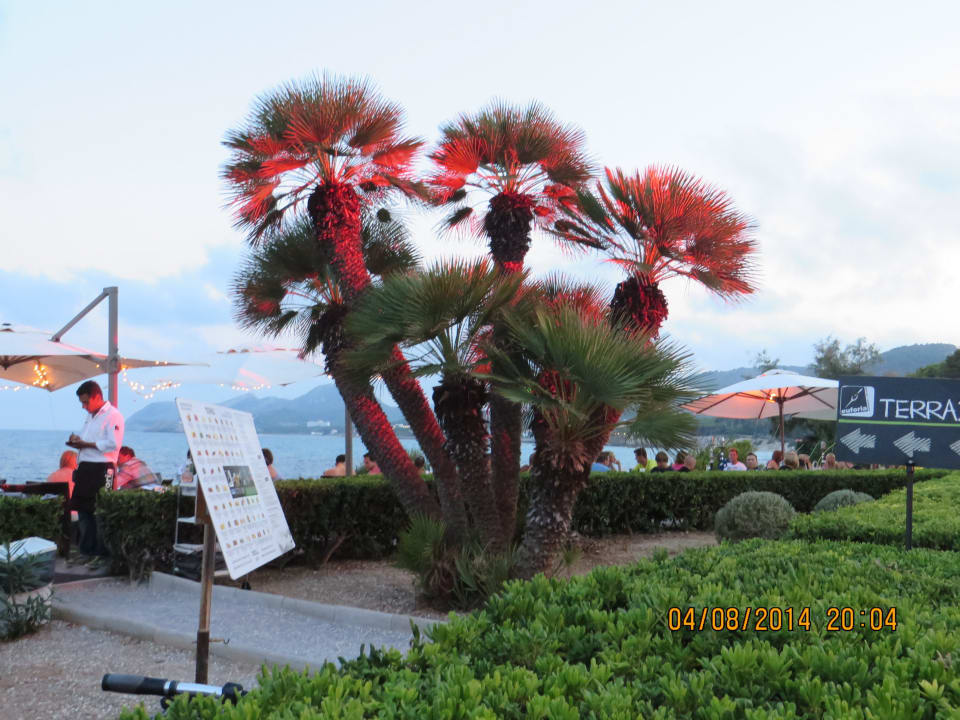 Am Abend R2 Lago Playa Park