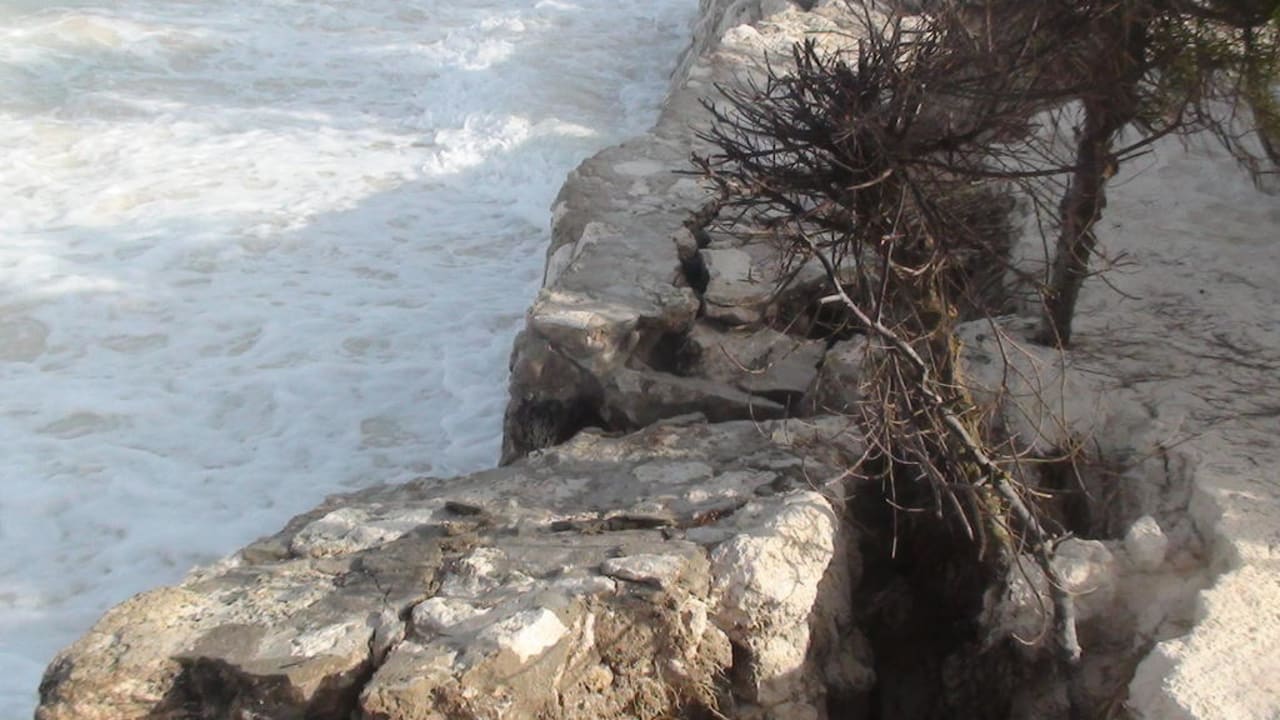 Hotelstrand Neptune Pwani Beach Resort & Spa