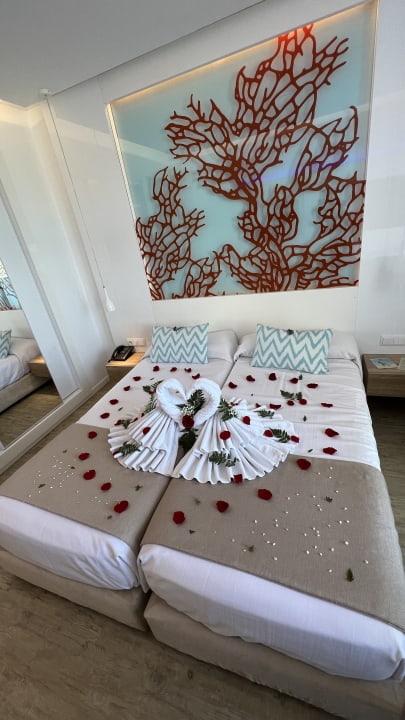 Zimmer The Sea Hotel by Grupotel - Adults only