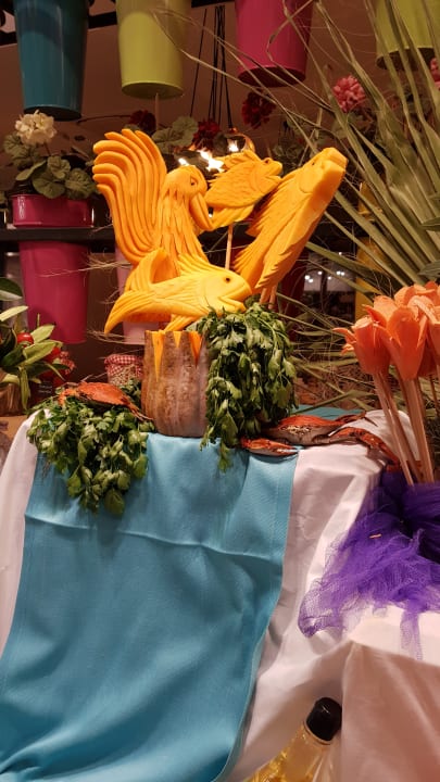 Gastro Seashell Vega