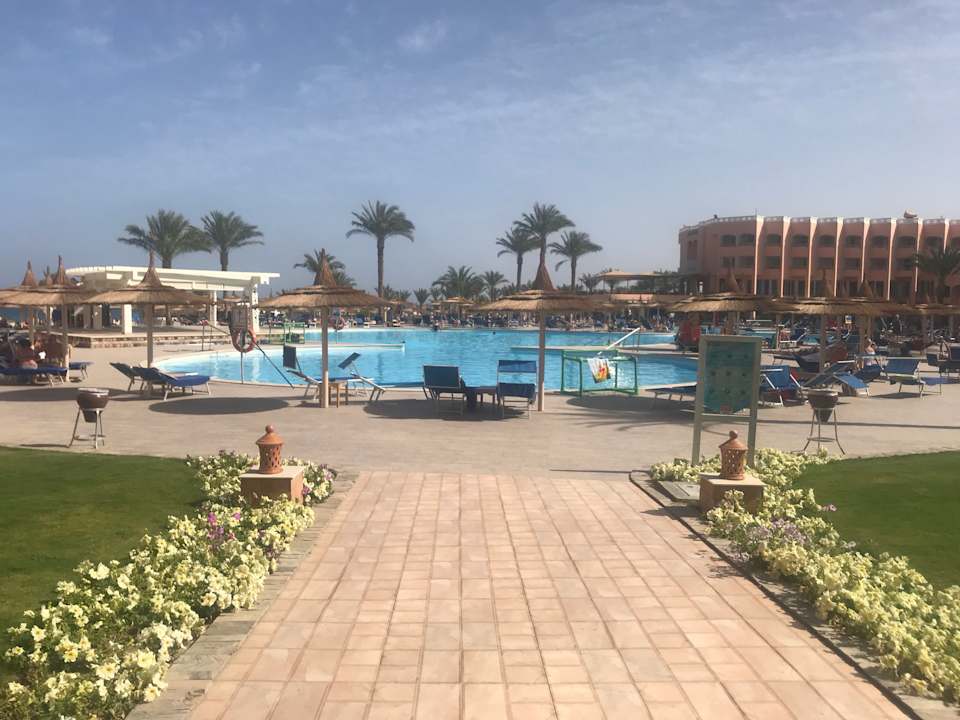 Pool Beach Albatros Resort