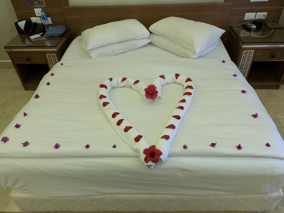 Zimmer Pickalbatros Sea World Resort - Marsa Alam