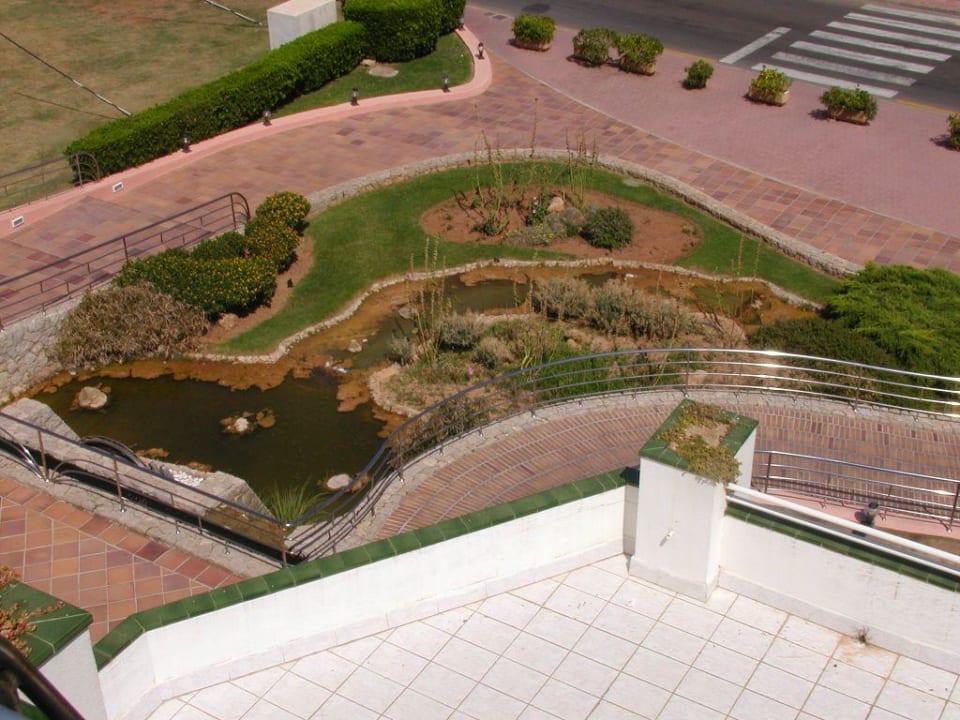Verschmutzte Teichanlage vor dem Hotel Hotel Mariant Park