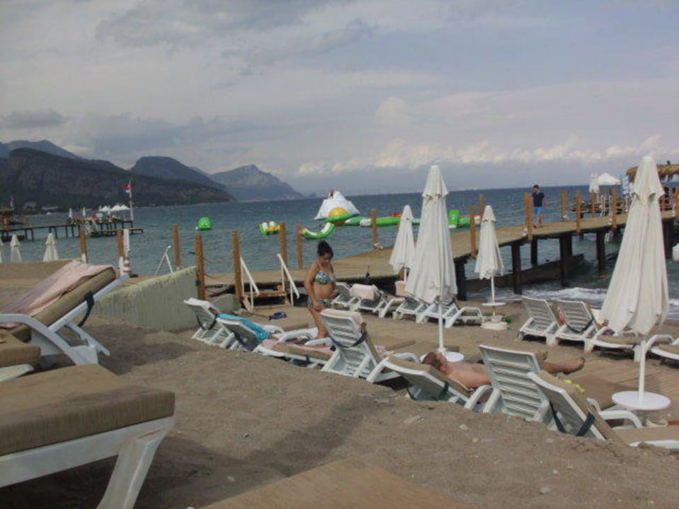 Zzzzz Crystal Flora Pearl Collection