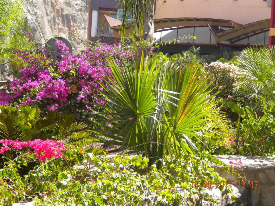 Schöner Flora Gloria Palace Royal Hotel & Spa