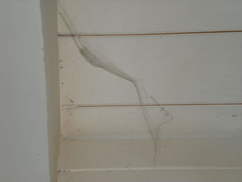 Staubige Spinnweben im Zimmer Hotel Bogliaco