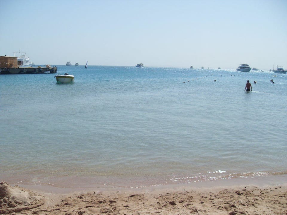 Feiner goldener Sandstrand Giftun Azur Resort