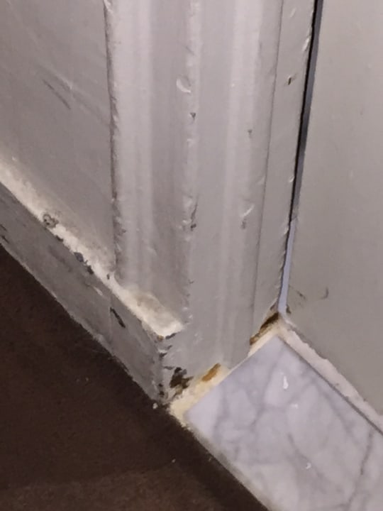 Zimmer New York's Hotel Pennsylvania