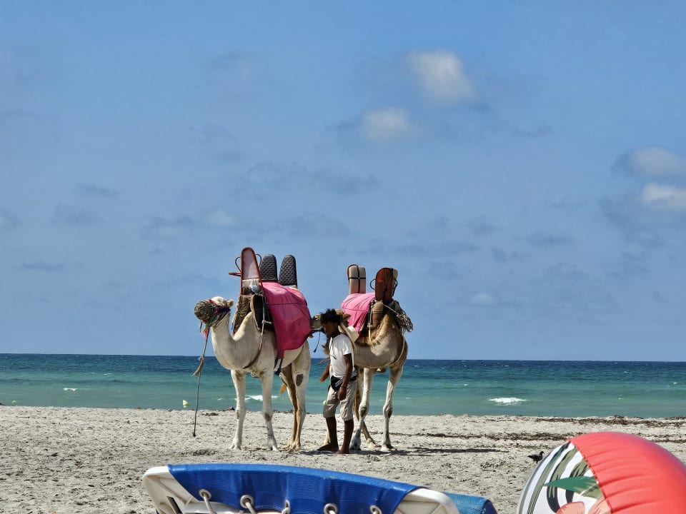 Strand Hotel Royal Garden Palace