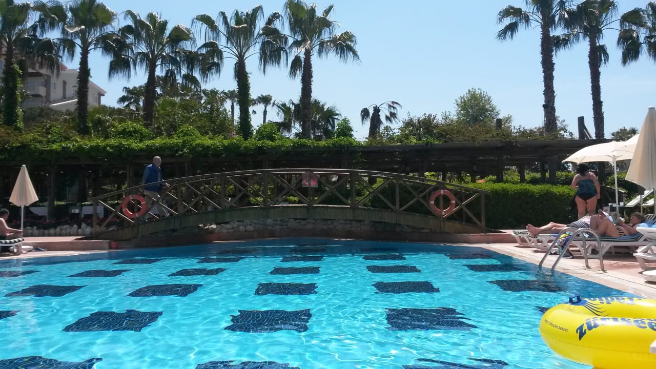 Pool Trendy Palm Beach (Adults Only, 16+)