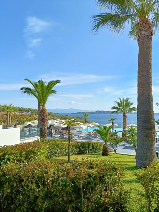 Ausblick Akrathos Beach Hotel